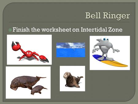  Finish the worksheet on Intertidal Zone.  You will label the ocean floor.  6 points to label.