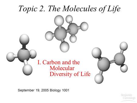 Topic 2. The Molecules of Life I. Carbon and the Molecular Diversity of Life September 19, 2005 Biology 1001.