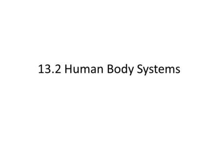 13.2 Human Body Systems. 11 Body Systems ( We won’t cover all of them) Although the body can be divided into 11 different organ systems, all of the systems.