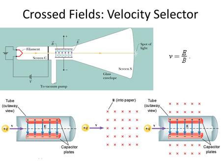 Crossed Fields: Velocity Selector. A Circulating Charged Particle.