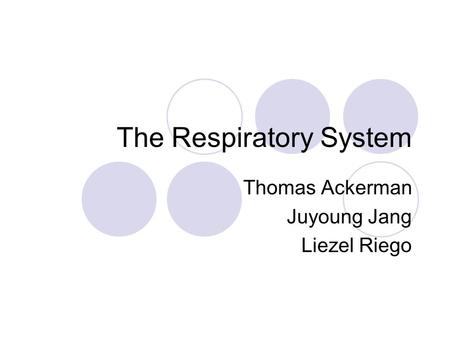 The Respiratory System