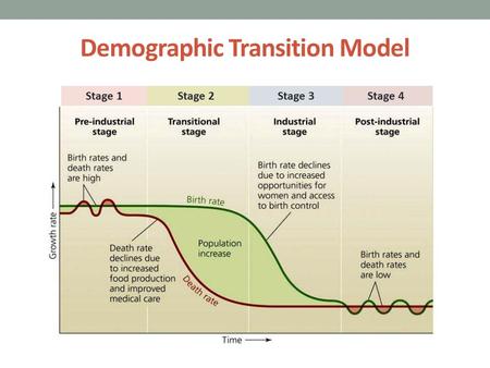 Demographic Transition Model