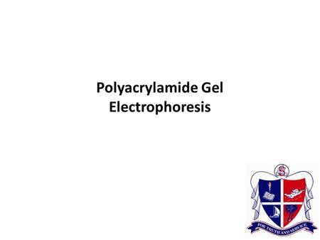 Polyacrylamide Gel Electrophoresis. Electrophoresis Horizontal Agarose Gels Agarose forms a gel or molecular sieve that supports the movement of small.