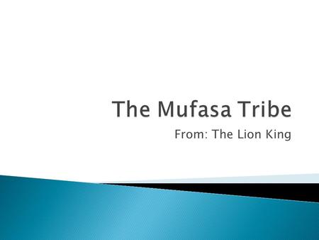 The Mufasa Tribe From: The Lion King.