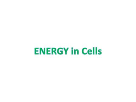 2.sci.life.stru.methusweb/illuminating- photosynthesis/