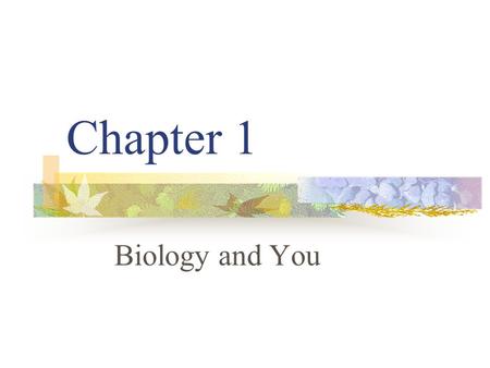 Chapter 1 Biology and You. Biology Biology – the study of LIFE Bio = Life ology = the study of Biologists are scientists that study the living things.