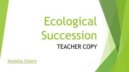 Ecological Succession