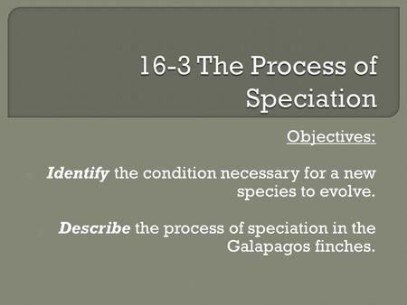 Objectives: o Identify the condition necessary for a new species to evolve. o Describe the process of speciation in the Galapagos finches.