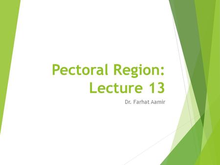 Pectoral Region: Lecture 13