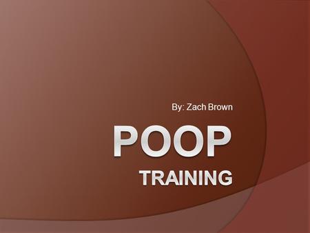 By: Zach Brown. POOP?  Yes, POOP  Everybody should POOP.  POOPing regularly is a very healthy habit  POOP is Planning Organization Operation Progress.