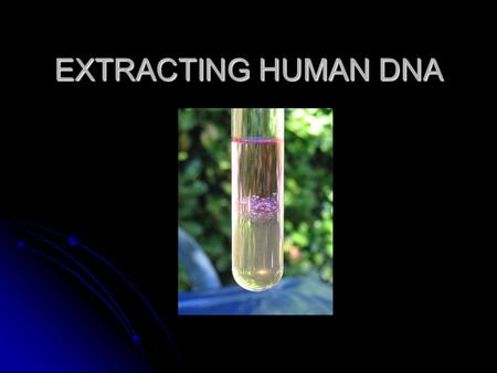 EXTRACTING HUMAN DNA. DNA DNA is the building block of life. DNA is the building block of life. It is present in every single cell. It is present in every.