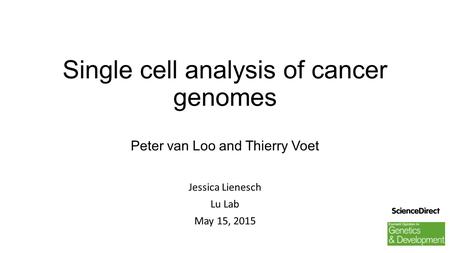 Single cell analysis of cancer genomes Peter van Loo and Thierry Voet Jessica Lienesch Lu Lab May 15, 2015.