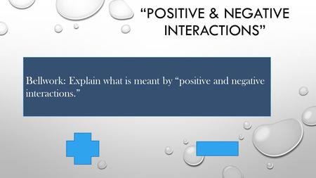 “POSITIVE & NEGATIVE INTERACTIONS” Bellwork: Explain what is meant by “positive and negative interactions.” Explain in your own words what is meant by.