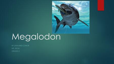 Megalodon BY LIAM AND CONOR MS. SEGA GRADE- 2 What did the Megalodon look like?  50 feet long  Prehistoric shark  Teeth as sharp as knives.