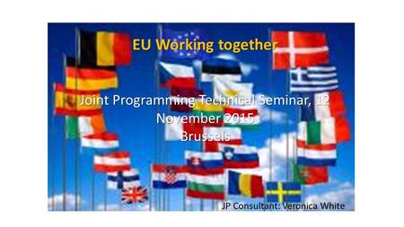 EU Working together Joint Programming Technical Seminar, 12 November 2015 Brussels JP Consultant: Veronica White.