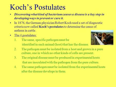 Koch’s Postulates Discovering what kind of bacterium causes a disease is a key step in developing ways to prevent or cure it. In 1876, the German physician.