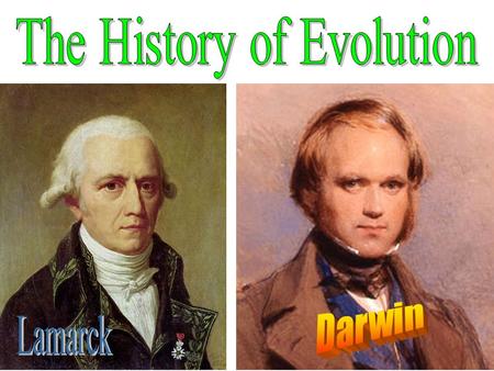 What is a Theory? Everyday Language – Hunch; Guess Scientific Language – Created after years of experiments and observation – Based on testable evidence.