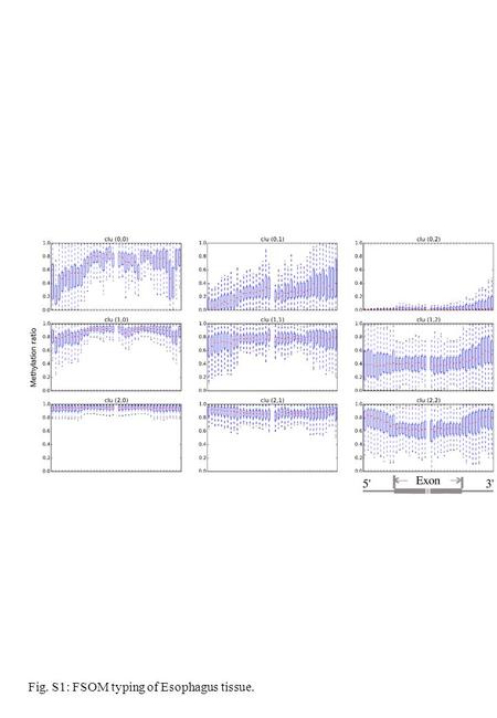 Fig. S1: FSOM typing of Esophagus tissue.. Fig. S2:. FSOM typing of HUES64 cell line.