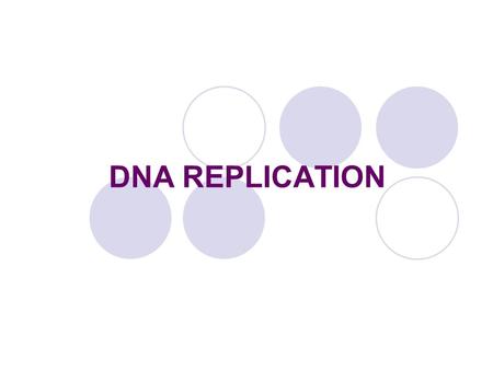 DNA REPLICATION. When the two strands of the DNA double helix are separated, each can serve as a template for the replication of a new complementary strand.