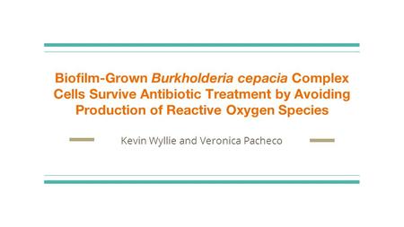 Biofilm-Grown Burkholderia cepacia Complex Cells Survive Antibiotic Treatment by Avoiding Production of Reactive Oxygen Species Kevin Wyllie and Veronica.