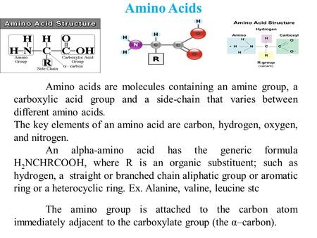 Amino Acids Amino acids are molecules containing an amine group, a carboxylic acid group and a side-chain that varies between different amino acids. The.