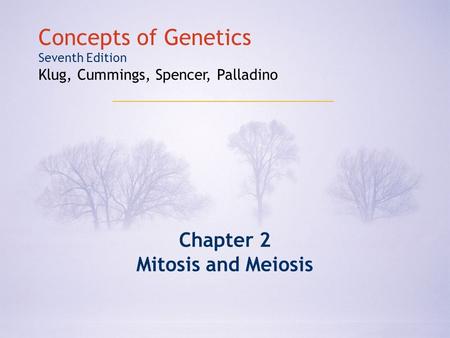 Copyright © 2009 Pearson Education, Inc. Concepts of Genetics Seventh Edition Klug, Cummings, Spencer, Palladino Chapter 2 Mitosis and Meiosis.