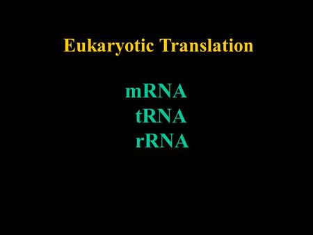 Eukaryotic Translation mRNA tRNA rRNA. -monocistronic -1,000-2,000 bases long -methylated at 5’cap -100-200 bases of poly A at 3’end -nontranslated.