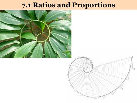 7.1 Ratios and Proportions. Ratios Ratio: A comparison of two quantities by division. 1) The ratio of a to b 2) a : b Ratios can be written in three ways…