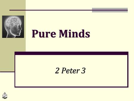 Pure Minds 2 Peter 3.