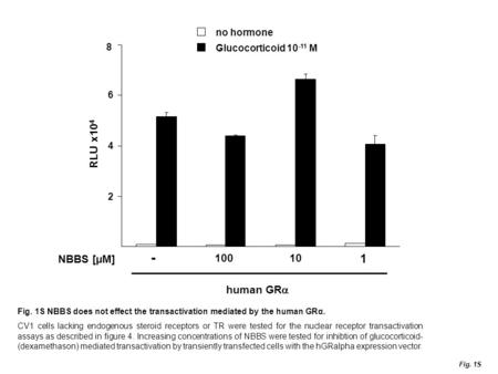 2 4 6 8 10010 1 RLU x10 4 - NBBS [µM] Fig. 1S human GR  no hormone Glucocorticoid 10 -11 M Fig. 1S NBBS does not effect the transactivation mediated by.