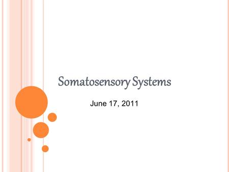 Somatosensory Systems