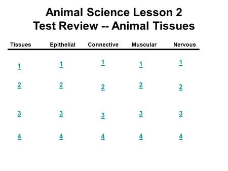 Animal Science Lesson 2 Test Review -- Animal Tissues 2 3 4 1 2 3 4 1 2 4 1 2 3 4 1 2 3 4 TissuesEpithelialConnectiveMuscularNervous 1 3.