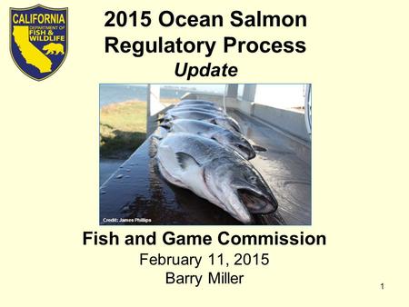 2015 Ocean Salmon Regulatory Process Update Fish and Game Commission February 11, 2015 Barry Miller 1 Credit: James Phillips.