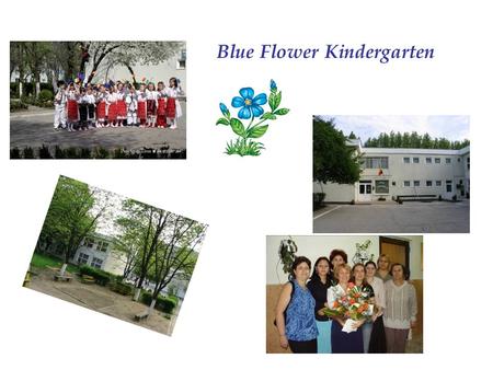 Blue Flower Kindergarten.  The kindergarten has got 12 groups with children between 3-7 years old.  The children receive a quality and modern education.