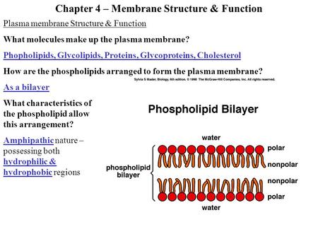 Chapter 4 – Membrane Structure & Function