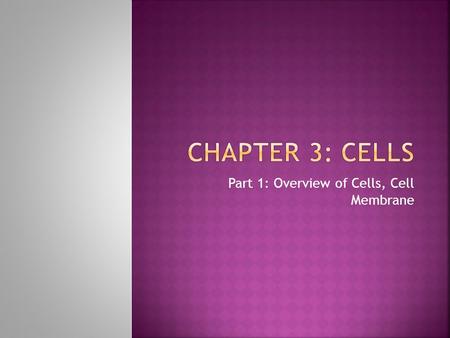 Part 1: Overview of Cells, Cell Membrane.  Basic unit of structure & function  200 different cell types  Made of C, O, H, N + trace elements  3 main.