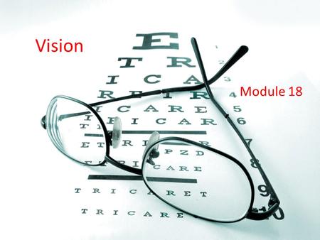 Vision Module 18. Human’s most dominating sense If multiple senses are competing, vision will overwhelm the others baby.