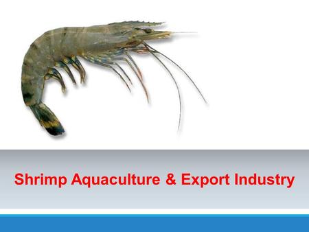 Shrimp Aquaculture & Export Industry. Average Farm Gate Shrimp Prices (Rs) for Exports YEARPRICES (RS) 2008455 2009553 2010604 2011649 2012712 2013754.