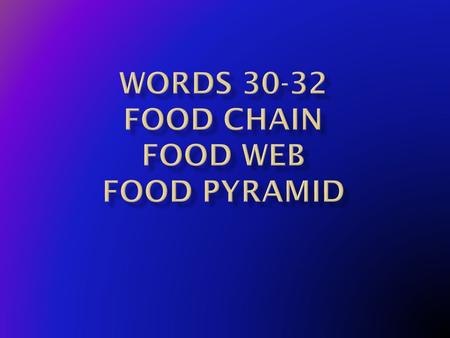  A series of events in which one organism eats another to obtain energy  In this food chain a flower is eaten by a caterpillar which is eaten by a frog.