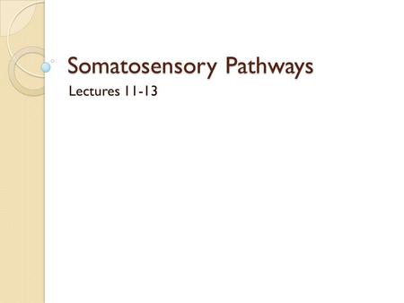 Somatosensory Pathways Lectures 11-13. Organization of the Course Spinal Cord Brainstem/ Cerebellum Sensory Pathways Cerebrum Motor Pathways Cranial Nerves.