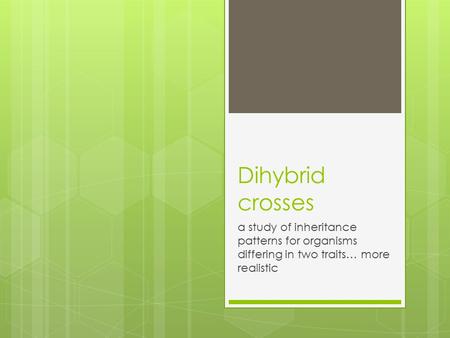 Dihybrid crosses a study of inheritance patterns for organisms differing in two traits… more realistic.