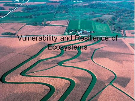 Vulnerability and Resilience of Ecosystems. All ecosystems function in a state of dynamic equilibrium. This state of dynamic equilibrium is the product.