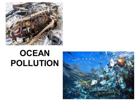 OCEAN POLLUTION.