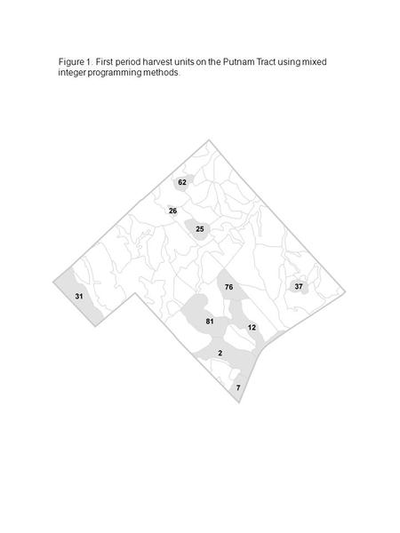 Figure 1. First period harvest units on the Putnam Tract using mixed integer programming methods.