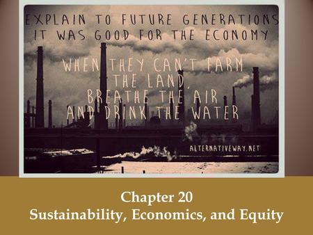 Chapter 20 Sustainability, Economics, and Equity