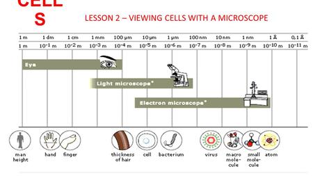 CELL S LESSON 2 – VIEWING CELLS WITH A MICROSCOPE.