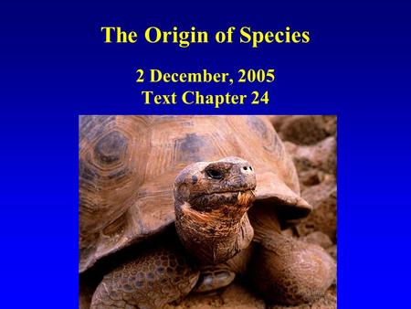 The Origin of Species 2 December, 2005 Text Chapter 24.