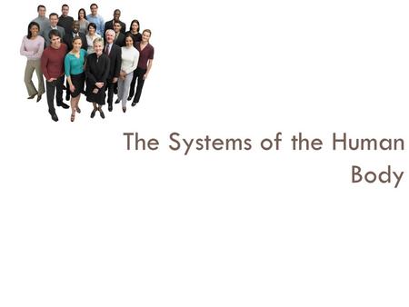 The Systems of the Human Body. What are the Human Body Systems We Have Studied So Far?  Skeletal  Muscular  Digestive  Respiratory  Now…  Circulatory.