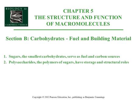 CHAPTER 5 THE STRUCTURE AND FUNCTION OF MACROMOLECULES Copyright © 2002 Pearson Education, Inc., publishing as Benjamin Cummings Section B: Carbohydrates.