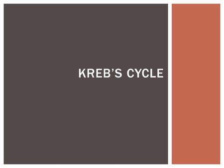 KREB’S CYCLE. Discovered by Hans Adolf Krebs who won the nobel prize in 1953 Occurs in the mitochondrial matrix A cyclical metabolic pathway with 8 steps.